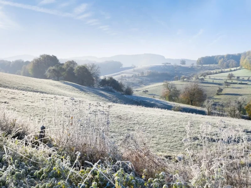 Zauberhafte Adventstage im Odenwald
