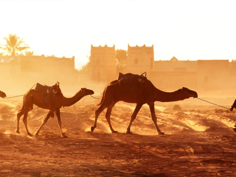 Marokko -  Reise durch das Land der Kontraste