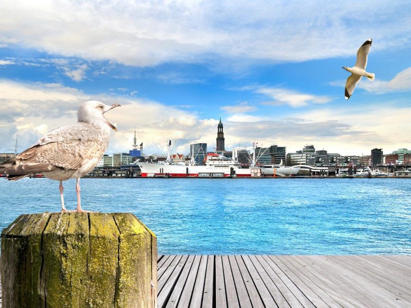 Busreise Hansestadt Hamburg