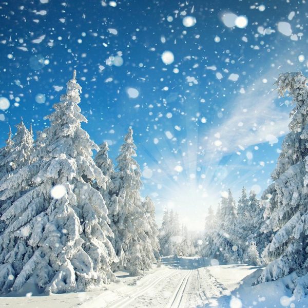 Busreise Ferienspaß in Oberhof