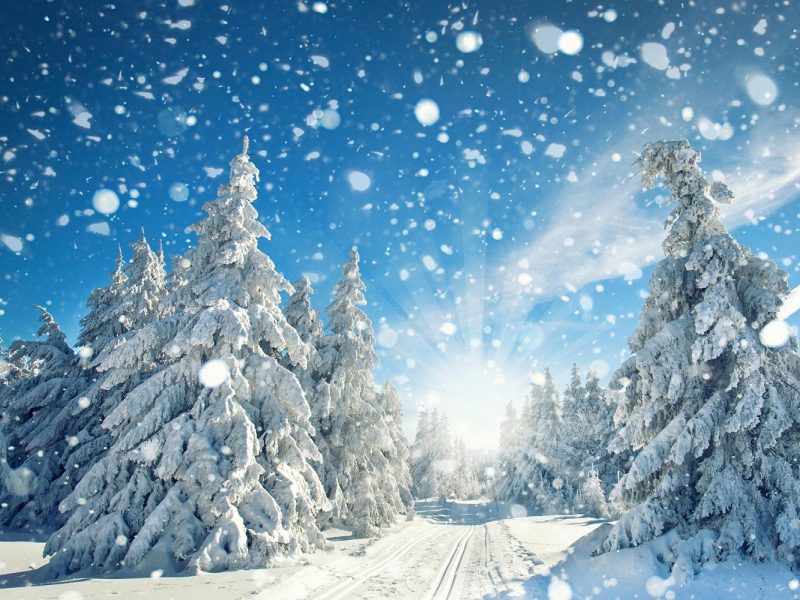 Busreise Ferienspaß in Oberhof