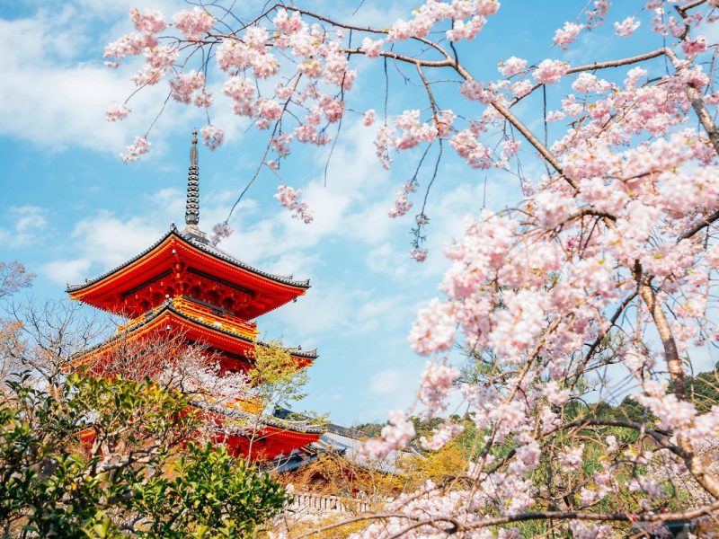 Flugreise Premium-Gartenreise Japan: Kyoto