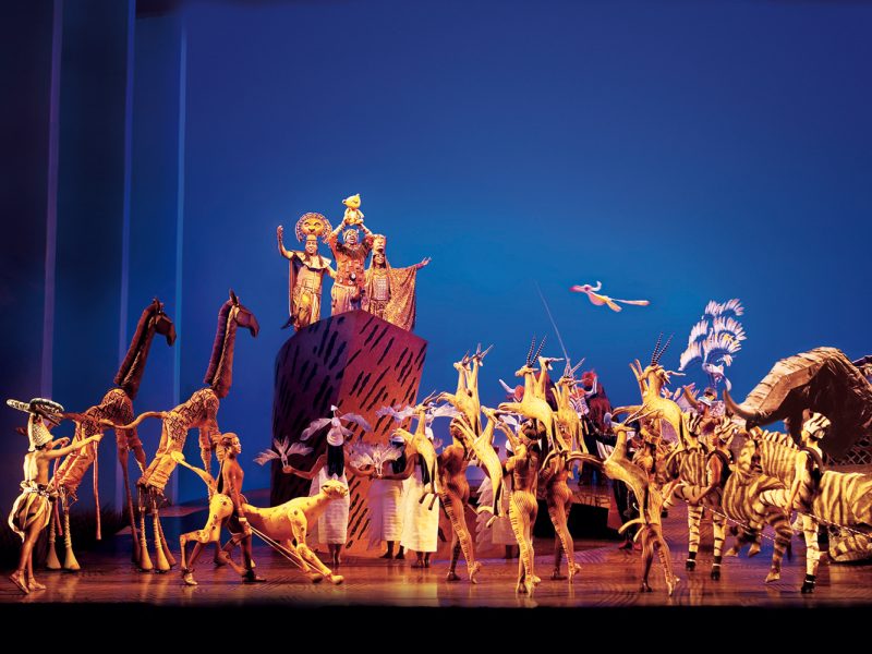 Busreise Musical in Hamburg - Disneys der König der Löwen - Der ewige Kreis © Stage Entertainment