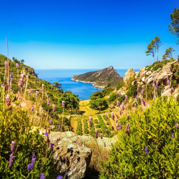 Wanderreise Mallorca - Neue Wege entdecken