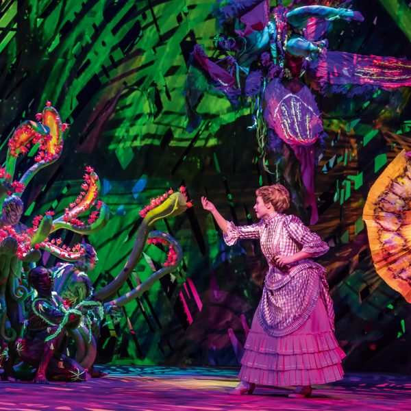 Busreise Musical Hamburg: Disneys TARZAN - Jane im Dschungel © Johan Persson