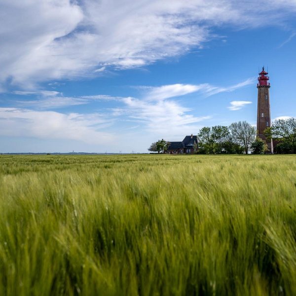 Busreise Ostern auf der Insel Fehmarn