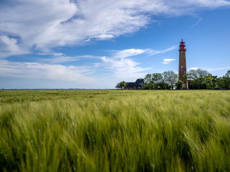 Busreise Ostern auf der Insel Fehmarn