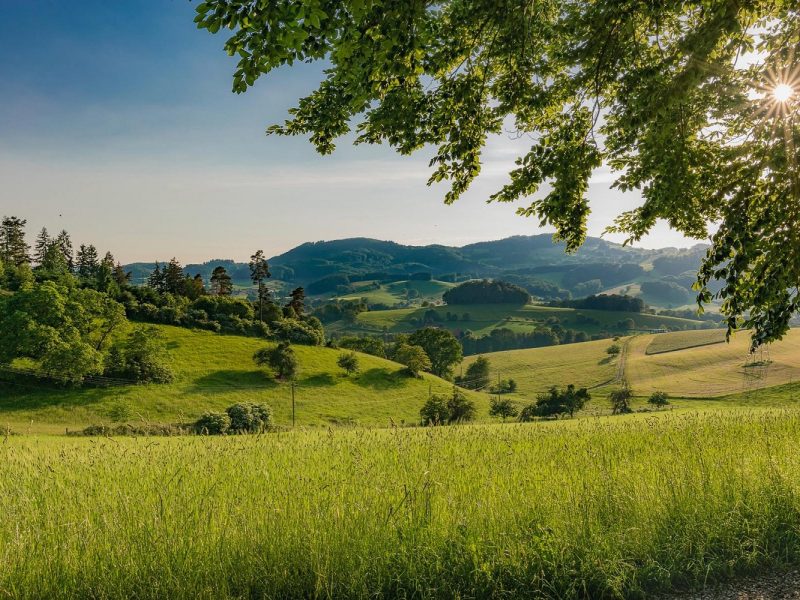 Busreise Ostern im Odenwald