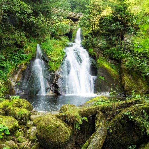Busreise Schwarzwälder Urlaubstage