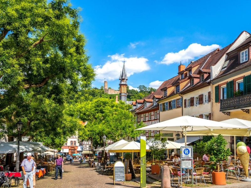 Busreise Schwarzwälder Urlaubstage