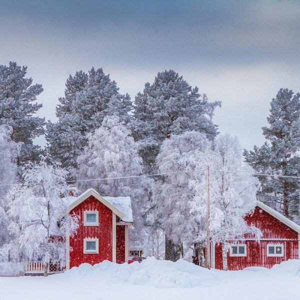 Busreise Schwedischer Adventszauber