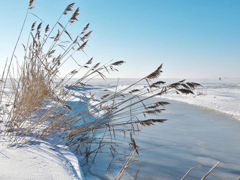 Silvester auf der Insel Fehmarn