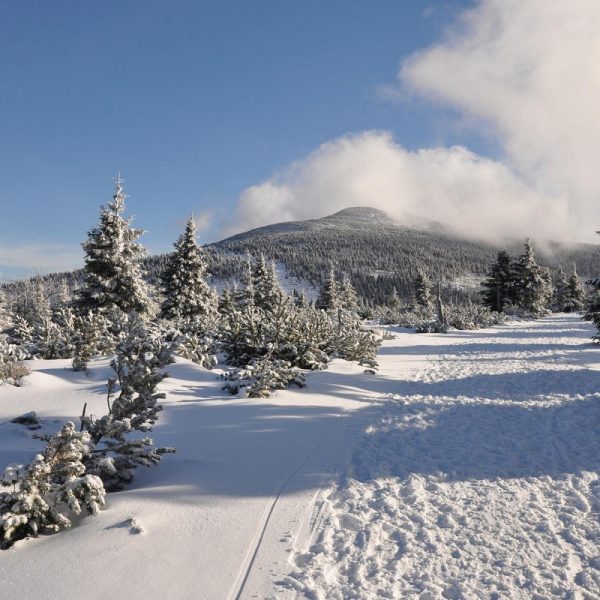 Busreise Weihnachten im polnischen Riesengebirge