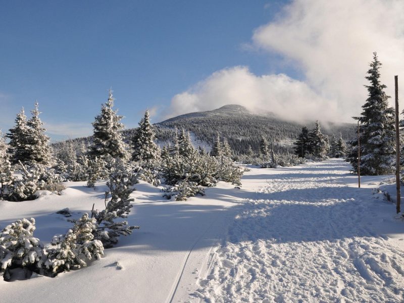 Busreise Weihnachten im polnischen Riesengebirge