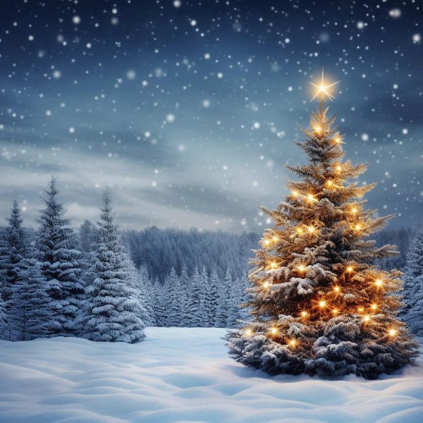 Busreise Weihnachten im polnischen Riesengebirge