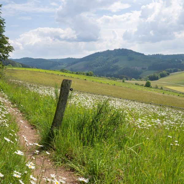Busreise Frauentagsträume  im Sauerland