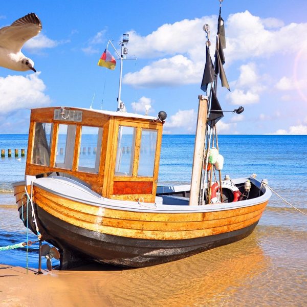 Busreise frühlingshaftes Usedom