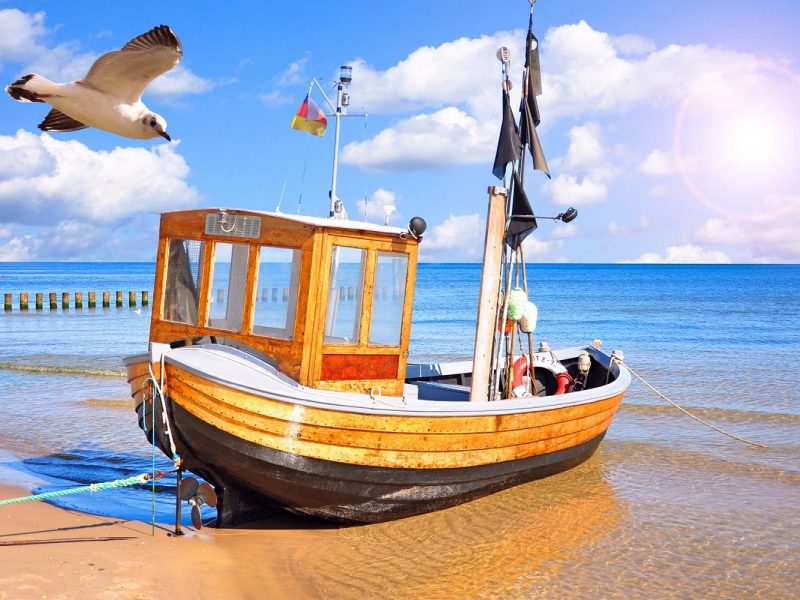 Busreise frühlingshaftes Usedom