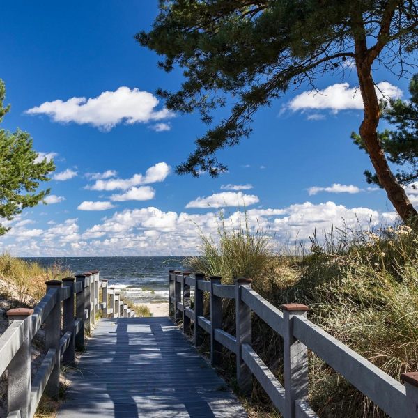 Busreise frühlingshaftes Usedom