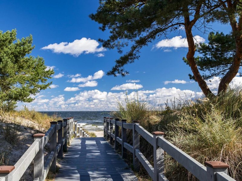 Busreise frühlingshaftes Usedom