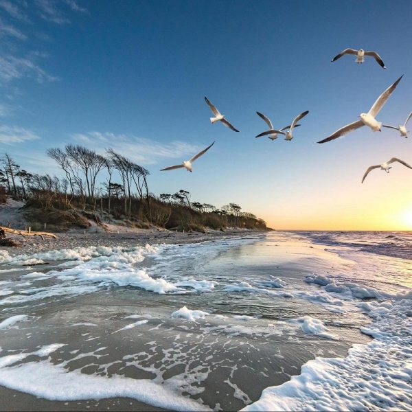 Busreise Weihnachten in Warnemünde