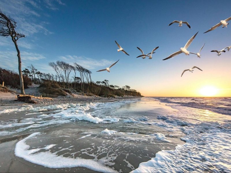 Busreise Weihnachten in Warnemünde