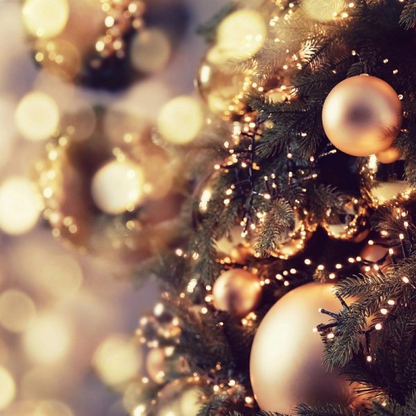 Busreise Weihnachten in Warnemünde