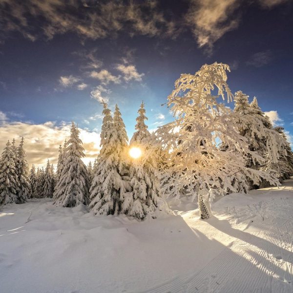 Busreise Winterferien in Friedrichroda
