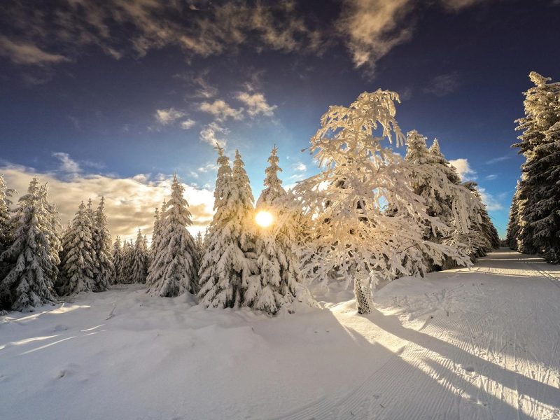 Busreise Winterferien in Friedrichroda