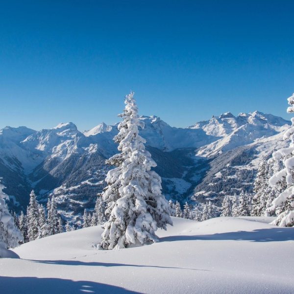 Silvesterreise Lieber nach Liberec