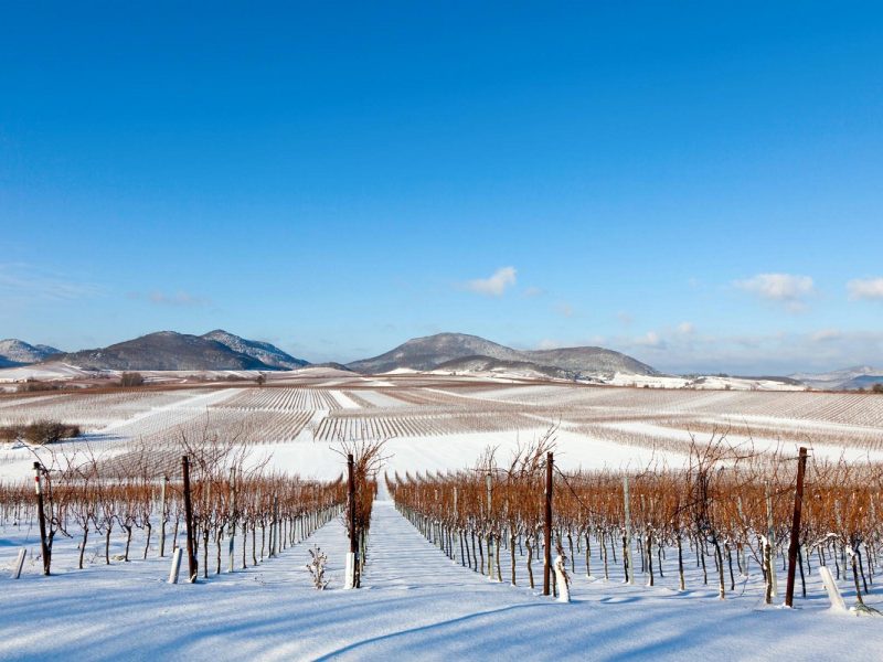 Silvester an der Deutschen Weinstraße in Bad Dürkheim