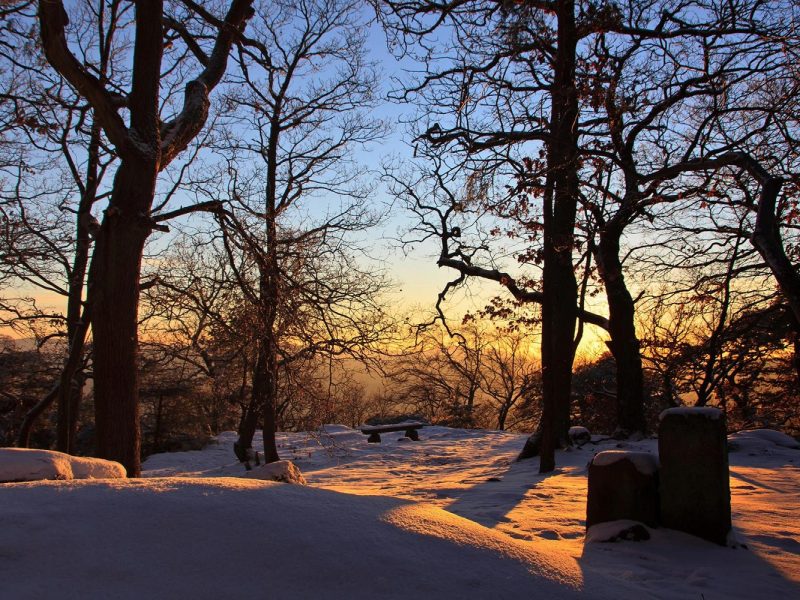Silvester an der Deutschen Weinstraße in Bad Dürkheim