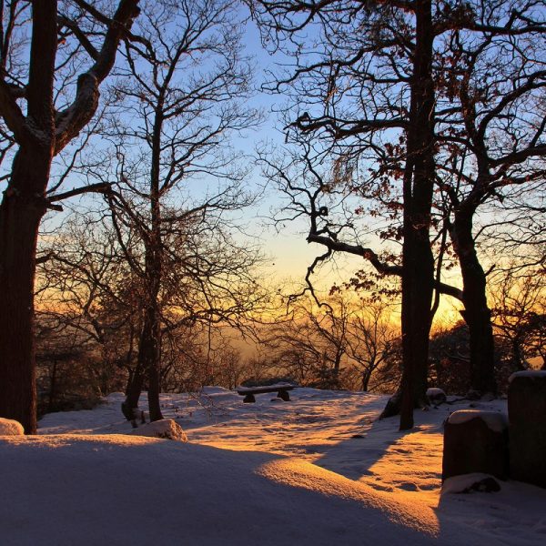 Silvester an der Deutschen Weinstraße in Bad Dürkheim
