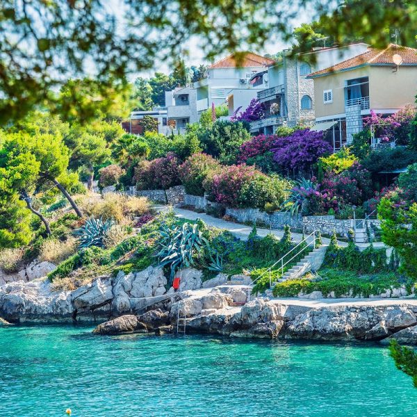 Lavendelzeit an der kroatischen Küste