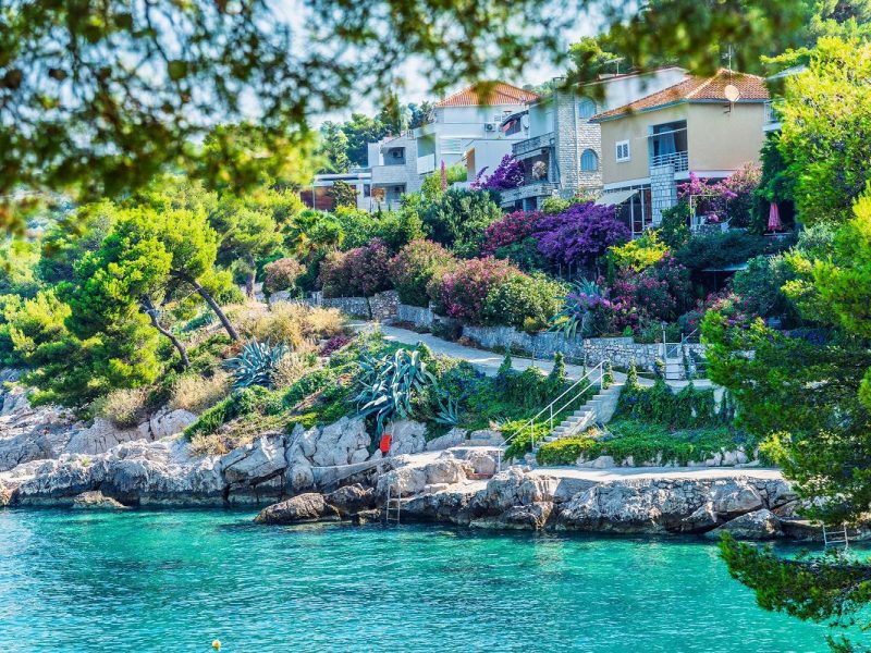 Lavendelzeit an der kroatischen Küste