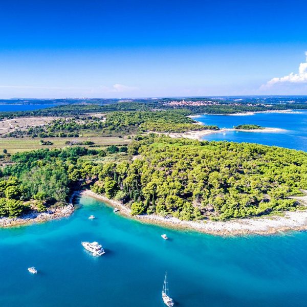 Lavendelzeit an der kroatischen Küste