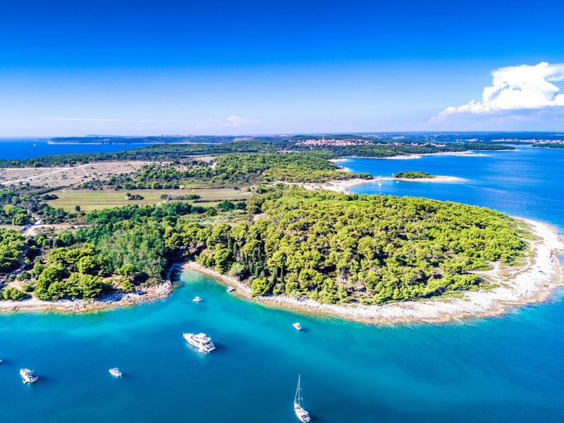 Lavendelzeit an der kroatischen Küste
