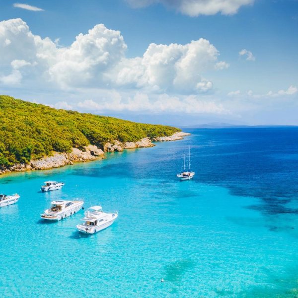 Lavendelzeit an der kroatischen Küste