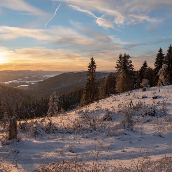 Busreise Weihnachten im Sauerland -  Winterwunderland Willingen
