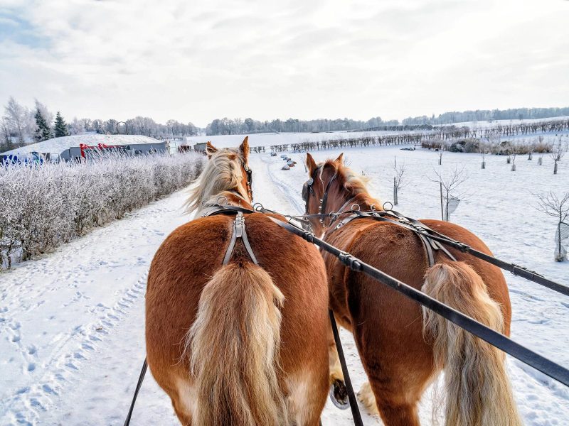 Busreise Silvester-Tanzparty in den Masuren