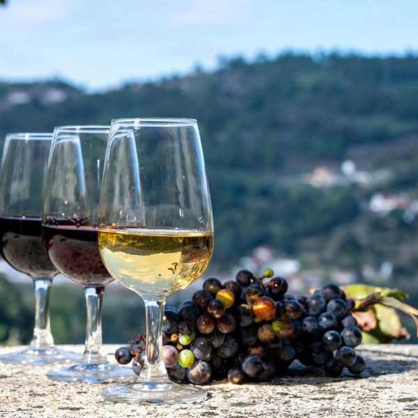 Flusskreuzfahrt Von Portos Küste ins Dourotal