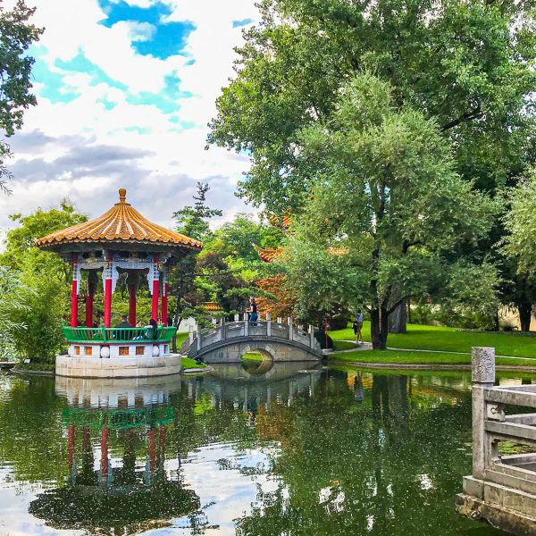 Busreise Gartenperlen mit Aussicht - Chinesische Gartenkunst in Zürich