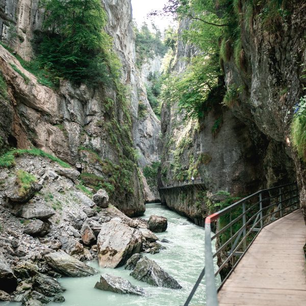 Busreise Gartenperlen mit Aussicht - Naturspektakel Aareschlucht