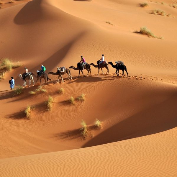 Tunesien - Kultur, Wüste & Geschichte zwischen Mittelmeer und Sahara