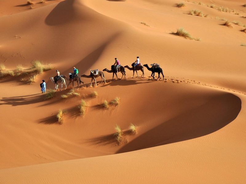 Tunesien - Kultur, Wüste & Geschichte zwischen Mittelmeer und Sahara