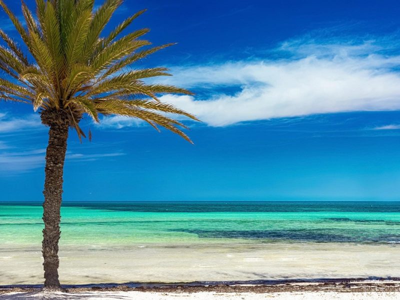 Tunesien - Kultur, Wüste & Geschichte zwischen Mittelmeer und Sahara