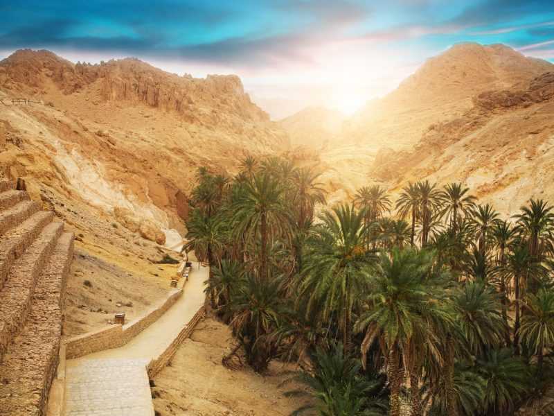 Tunesien - Kultur, Wüste & Geschichte zwischen Mittelmeer und Sahara