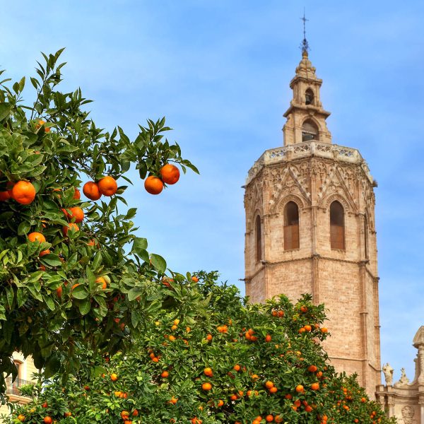 Frühling an der Costa Blanca: Catedral de Santa María in Valencia