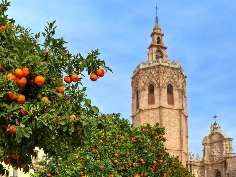 Frühling an der Costa Blanca: Catedral de Santa María in Valencia
