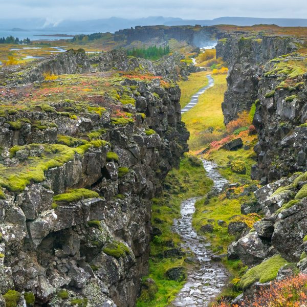 Flugreise Ein isländischer Traum - Nationalpark Thingvellir